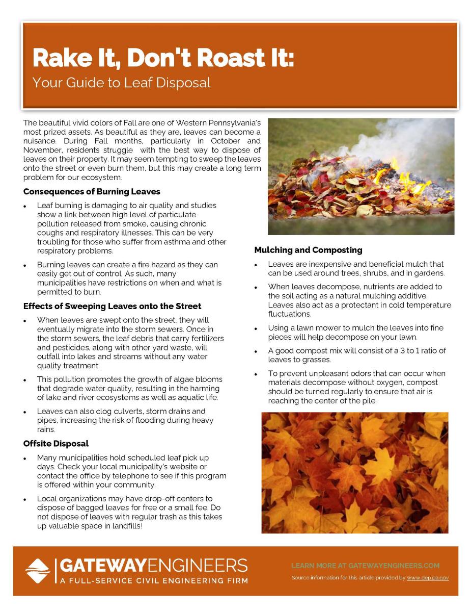 MS4 Storm Water Management6